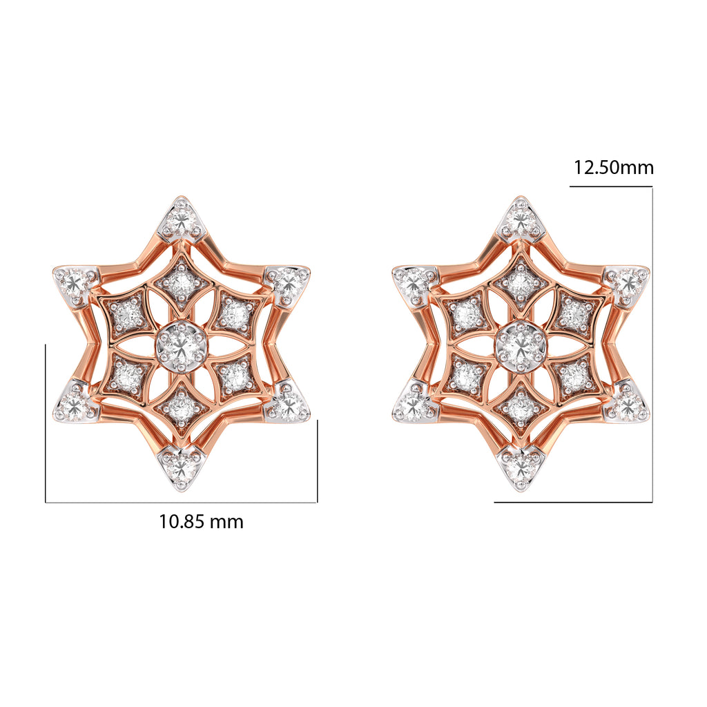 Frosted Snowflake Gold and Diamond Earrings